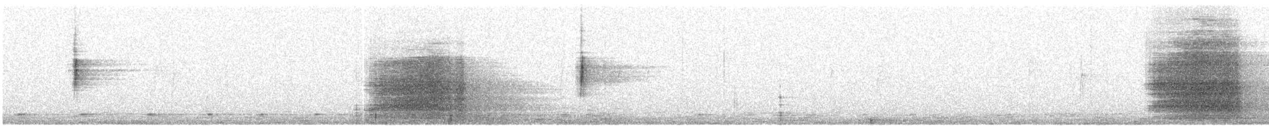 Стеллерова сойка - ML646816300