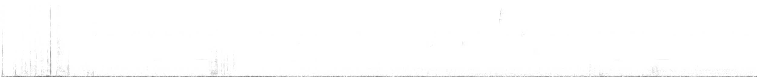 Striped Cuckoo - ML646817121