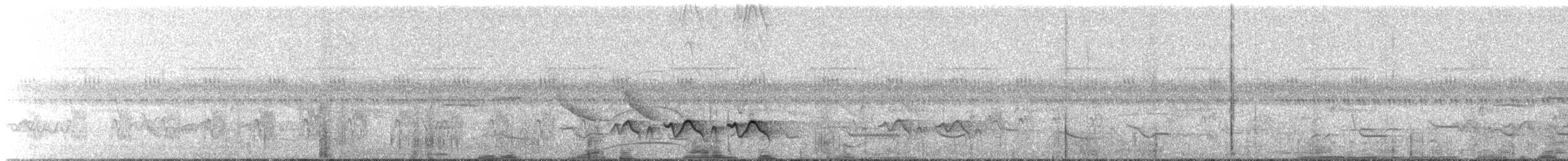 Декол плямистоволий (підвид melanochloros/nattereri) - ML646817511