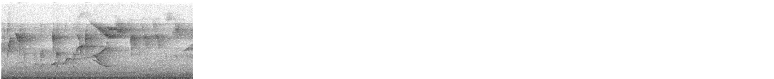 Olive-gray Saltator - ML646817535