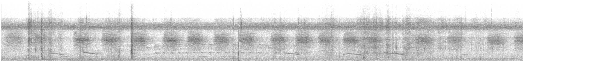 Lance-tailed Manakin - ML646818004