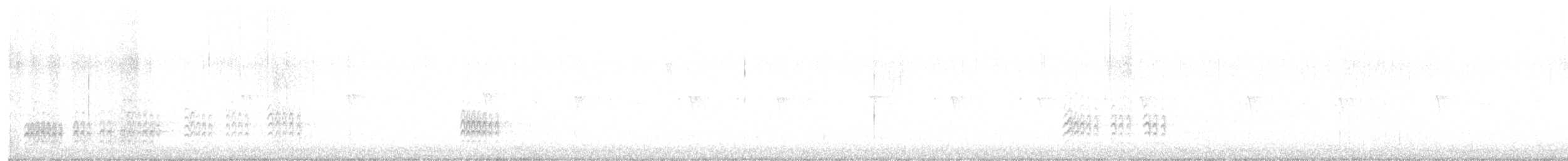 Sittelle à poitrine blanche - ML646818087