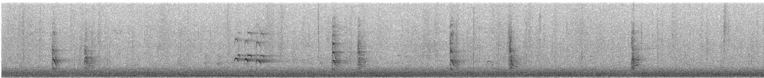 Red-bellied Woodpecker - ML646818127