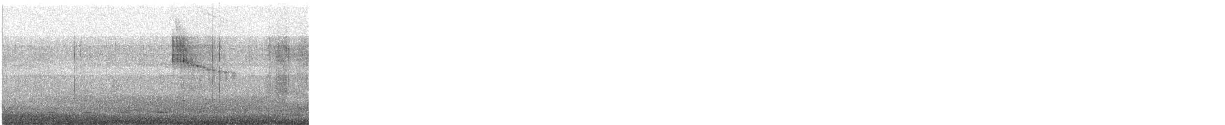 Copper-rumped Hummingbird - ML646818481