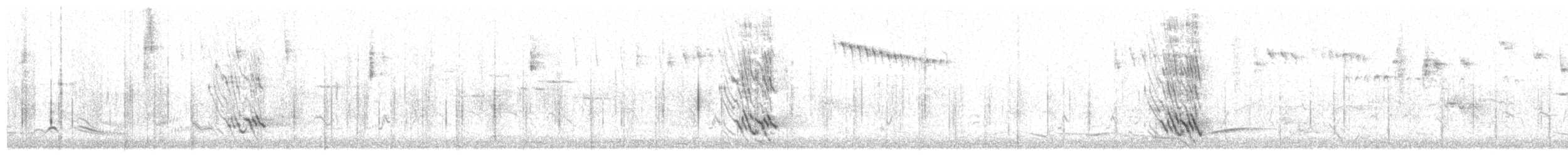 Black-faced Cuckooshrike - ML646818518