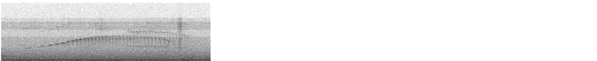 Olivaceous Woodcreeper - ML646818533