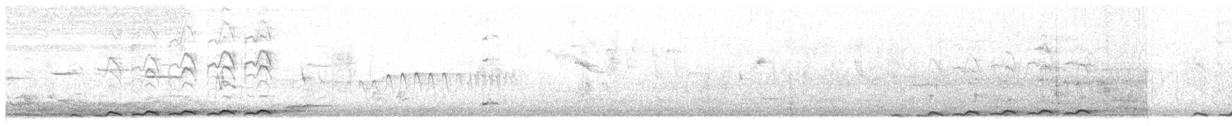 Pacific Koel - ML646818727