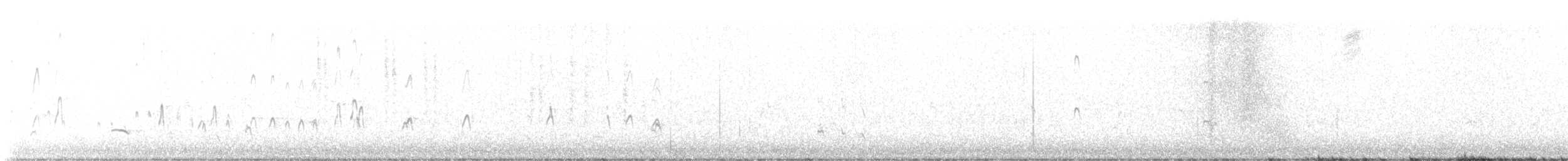 Long-billed Dowitcher - ML646818904