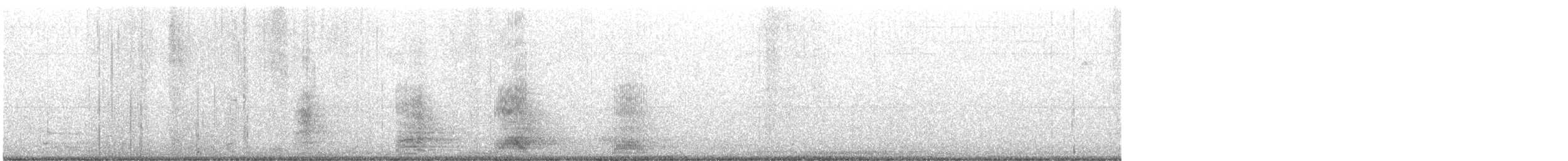 Koartza hauskara amerikarra - ML646818953