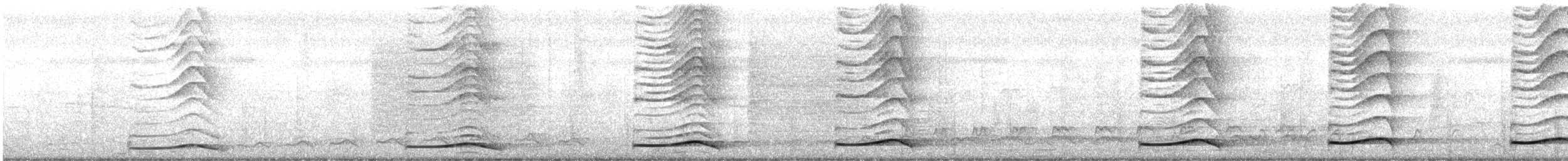 grønnebbkoel - ML646819085