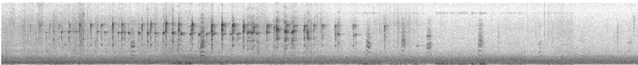 Gambel's Quail - ML646819244