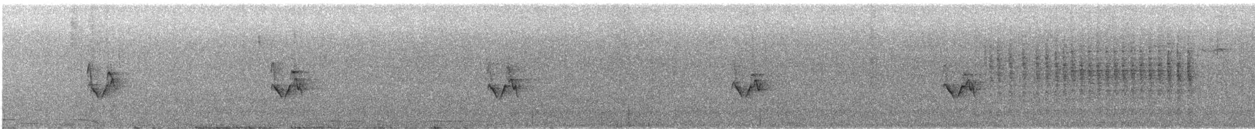 Painted Redstart - ML646819391