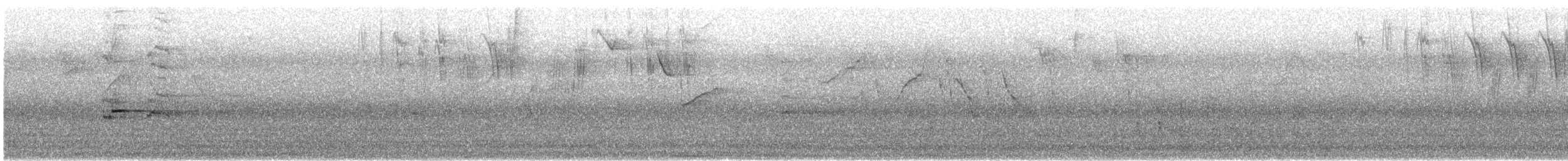 Blacksmith Thrush - ML646819492