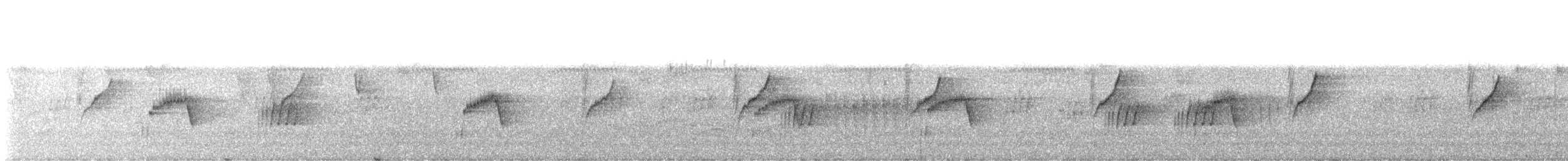 svartstrupeskredderfugl - ML646819501