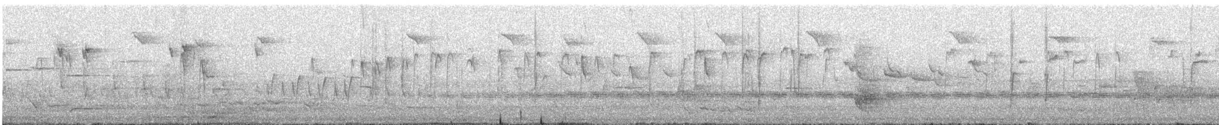 Sahul Cicadabird - ML646819512