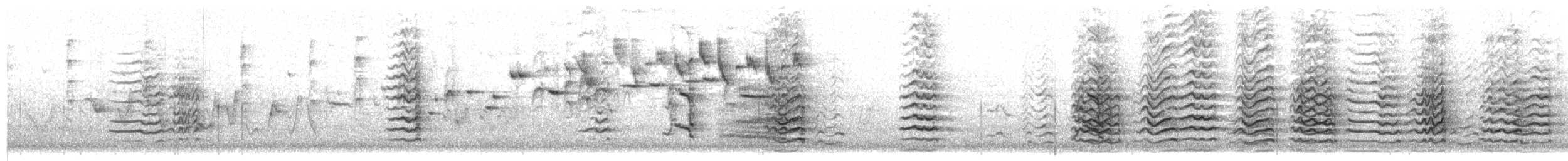 Little Corella - ML646820378