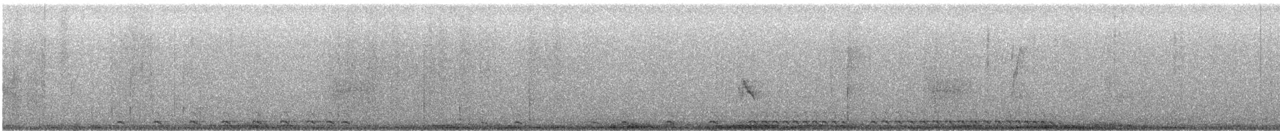 Western Screech-Owl - ML646820424