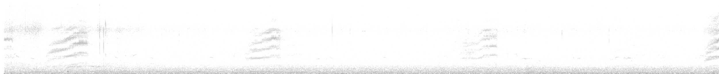 Tohi tacheté - ML646820425