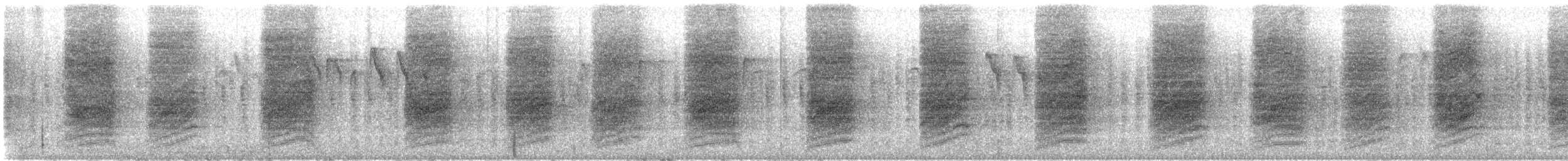 Woodhouse's Scrub-Jay - ML646820426