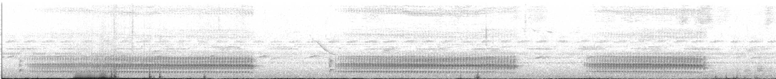 Stiles's Tapaculo - ML646820464