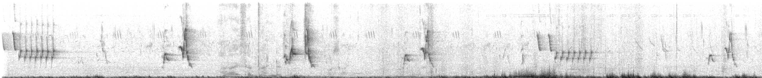 Bristled Grassbird - ML646821050