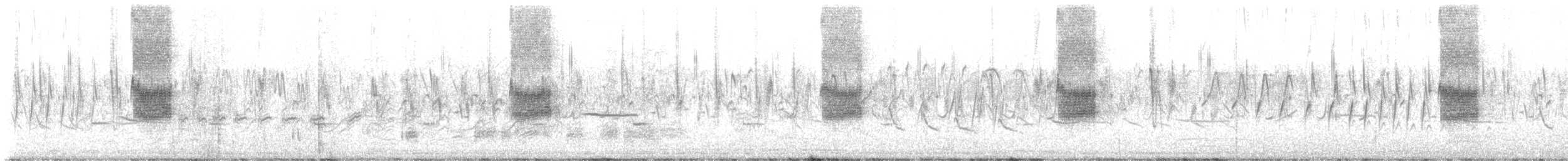 Great Gray Shrike (Indian) - ML646821123