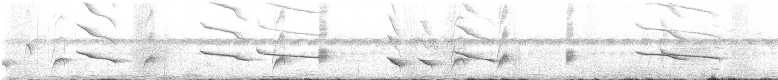 Gray-winged Blackbird - ML646821545