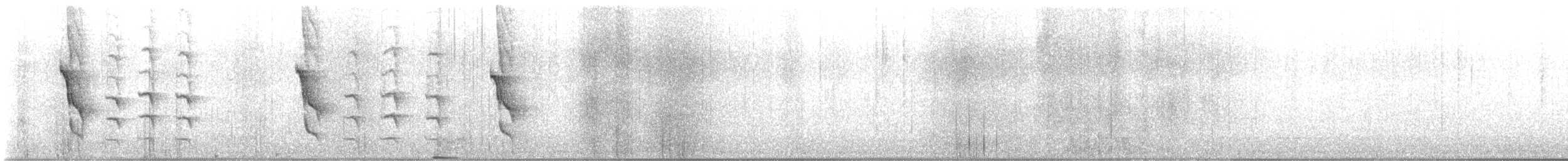 South Island Saddleback - ML646821624