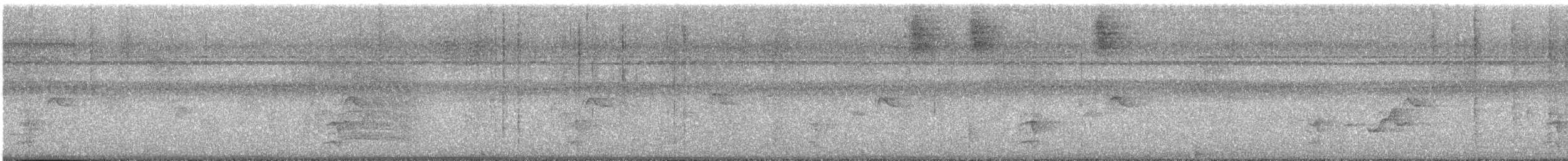 Oropéndola China (diffusus) - ML646821867