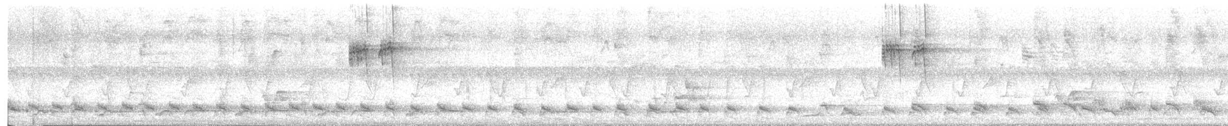 White-crested Laughingthrush - ML646821885