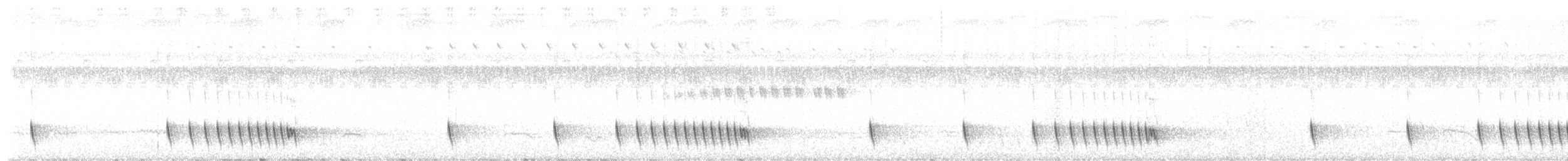 Chotacabras Hindú - ML646822709