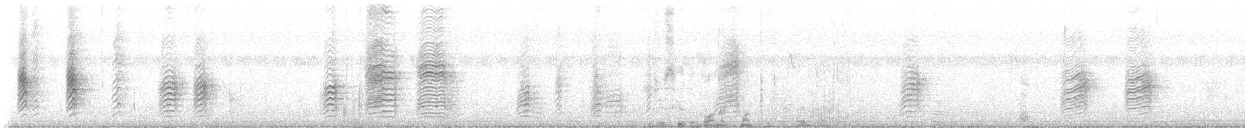 Ashy Woodswallow - ML646822757