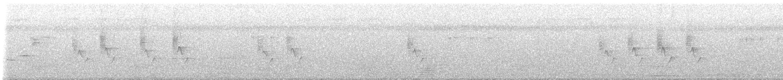 Suimanga de Loten - ML646822878