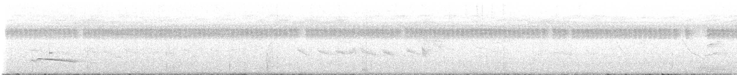 Cuco Pechigrís - ML646822914