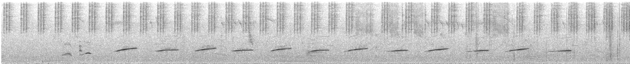 Mielero Pintado - ML646822960