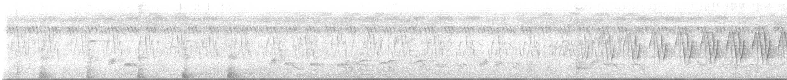 Prinia Selvática - ML646823085