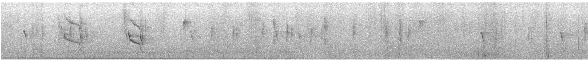 Social Flycatcher - ML646823128