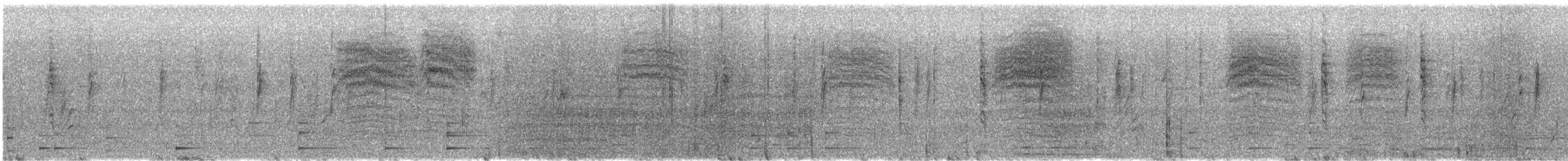 Black-capped Gnatcatcher - ML646823337