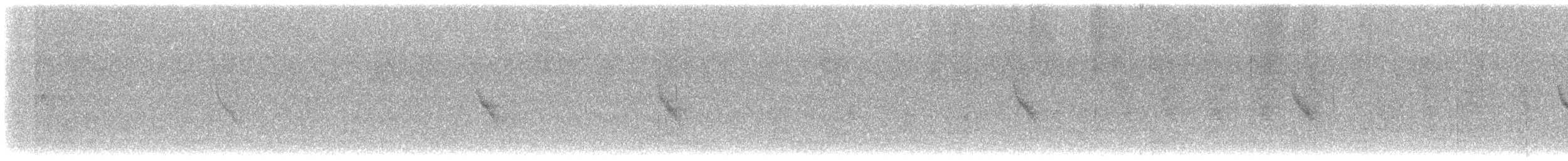 Hutton's Vireo - ML646823376