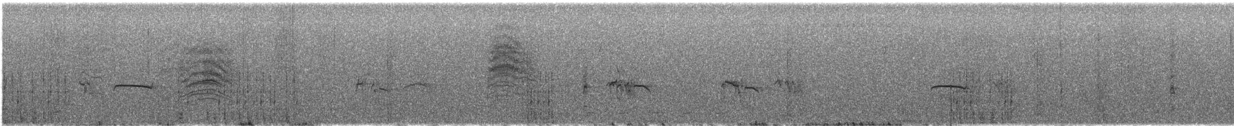 Northern Beardless-Tyrannulet - ML646823862