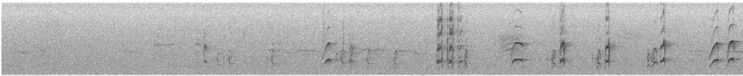 Nutting's Flycatcher - ML646823863