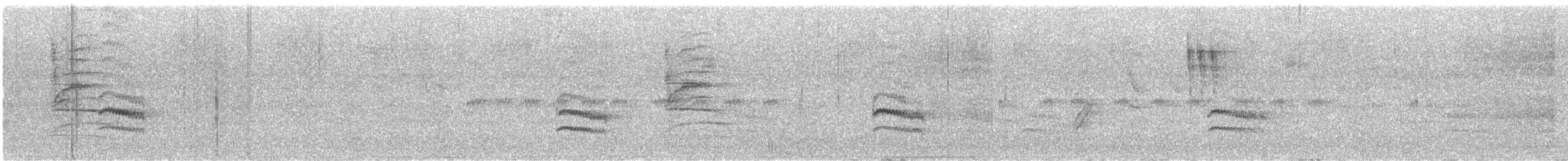 White-breasted Nuthatch - ML646824063