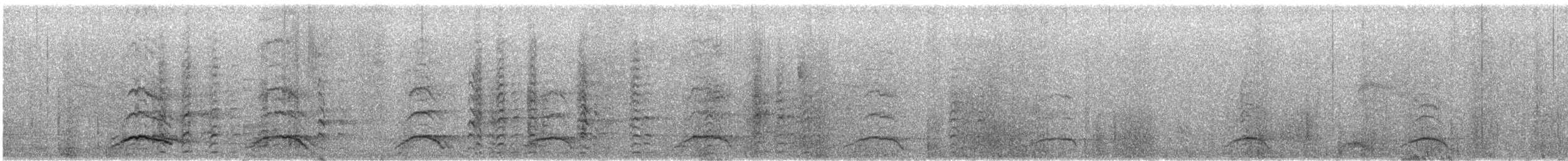 Black-throated Magpie-Jay - ML646824070