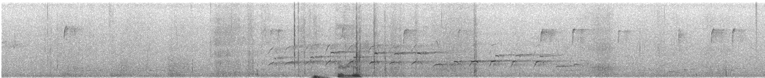 Common Black Hawk - ML646824640