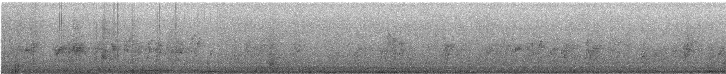 Mexican Parrotlet - ML646824785