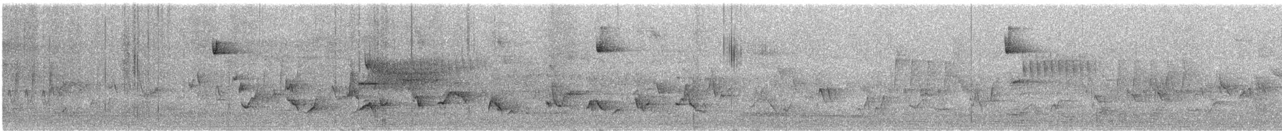 Western Flycatcher (Pacific-slope) - ML646825057