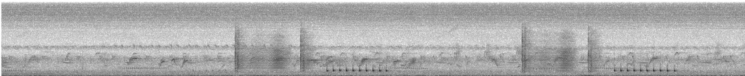 Slate-colored Boubou - ML646825064