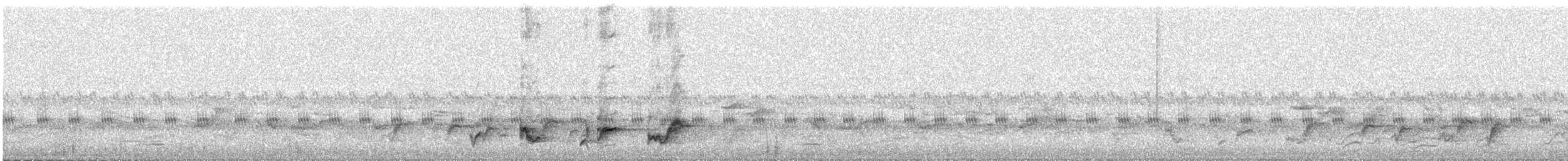 Common Bulbul (Dark-capped) - ML646825070