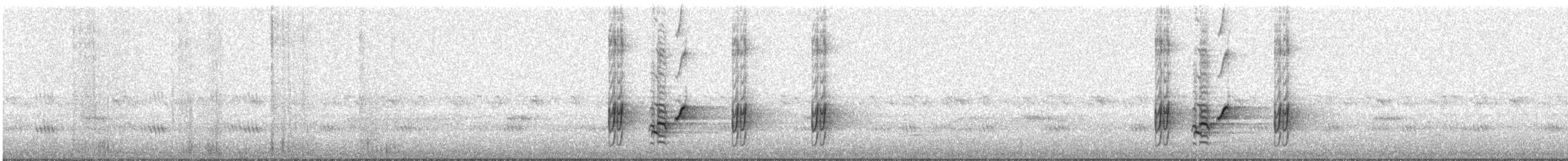Fork-tailed Drongo - ML646825081