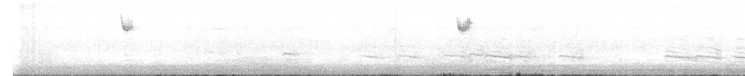 White-throated Sparrow - ML646825512